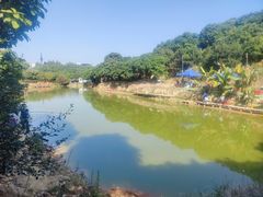 -牙山果园·烧烤野炊·钓鱼团建·烤全羊