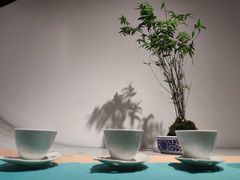 -青藤茶馆(南山路店)