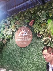 -小熊维尼高端儿童摄影(南山信和店)