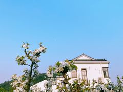 -树山生态村