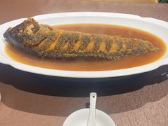 -豫丰汇河南名菜楼(武记餐饮)