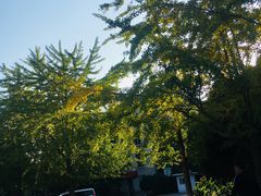 -辽宁大学(崇山校区)