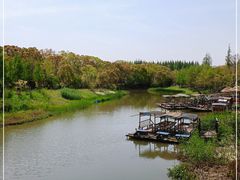-上海长兴岛郊野公园