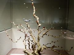 -陕西自然博物馆