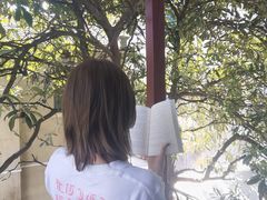 -二楼南书房