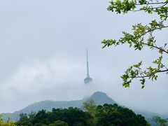 -梧桐山风景名胜区