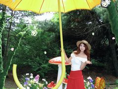 -王莽岭风景区