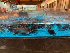 -艳阳天·非遗楚菜(武汉客厅店)