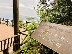 -武陵山森林公园