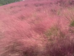 -昆嵛山石门里景区