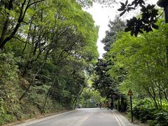 -茶颜悦色(岳麓山顶店)