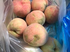 -南汇水蜜桃采摘(大团店)