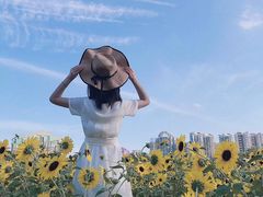 -二沙岛艺术公园