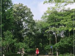 -玉树公园