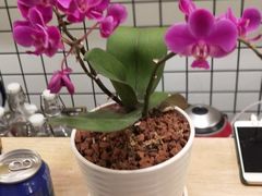 -常樂屋·常德米粉(青年路店)