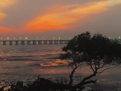 -宝安西湾红树林湿地公园