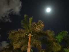 -三亚亚龙湾雅高铂尔曼别墅度假酒店