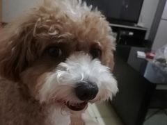 -乔森驾校(杨家坪总校)