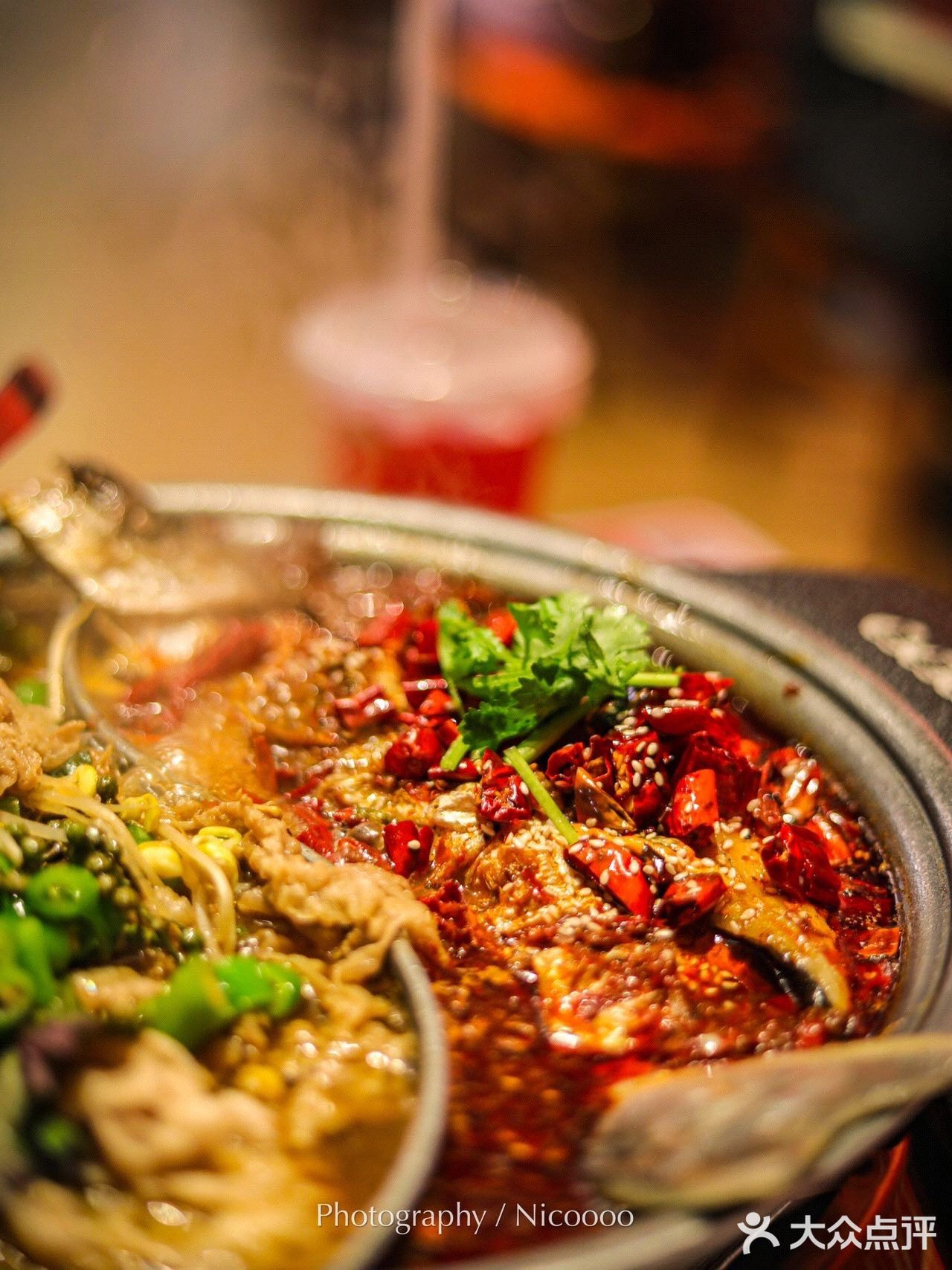 🐟烤鱼牛牛组合锅🥩还有🐟➕🐔！🐟➕🐸