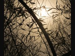 -渭南桃花源民俗文化园