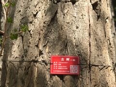 -潭柘寺景区
