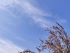 -海棠花溪(元大都城垣遗址公园)