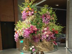 -浅深Cheersum(曹杨店)