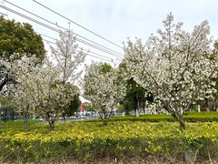 -九里河湿地公园