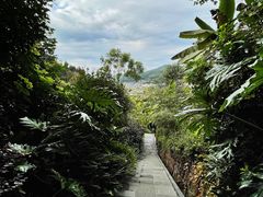 -腾冲洞山温泉村
