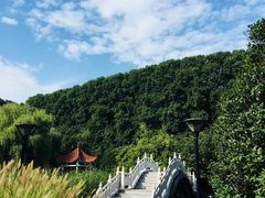 -河南省黄河迎宾馆