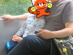 -南戴河国际娱乐中心