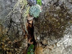 -丽江束河古镇-石莲古寺