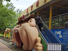 -朝阳公园游乐园