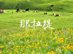 -新疆那拉提国家旅游度假区