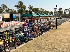 -春花秋色城市公园