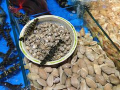 -万尾金滩