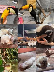 -Zoolung Zoolung动物主题公园(海信广场店)