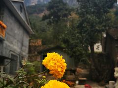 -齐王寨景区