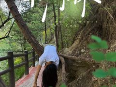 -龙潭大峡谷自然风景区