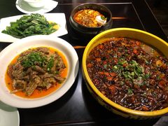 -陈麻婆豆腐总店