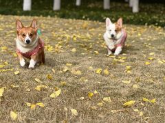 -西北湖绿化广场