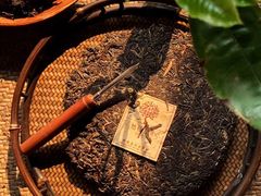 -大可堂普洱茶馆(襄阳南路馆)