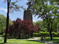 -玲珑塔公园