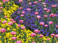 -玄武湖景区-情侣园游乐场