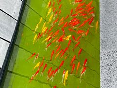 -房山世界地质公园博物馆