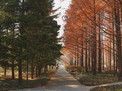 -国家植物园南园