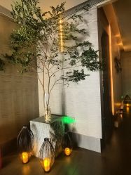 点击看大图 -VELEE·SPA高定疗愈会所