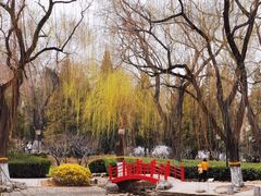-玲珑塔公园