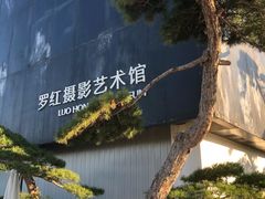 -罗红摄影艺术馆