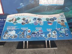 -蓬莱欧乐堡海洋极地世界